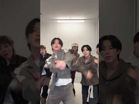 TNX 최근 활동샷