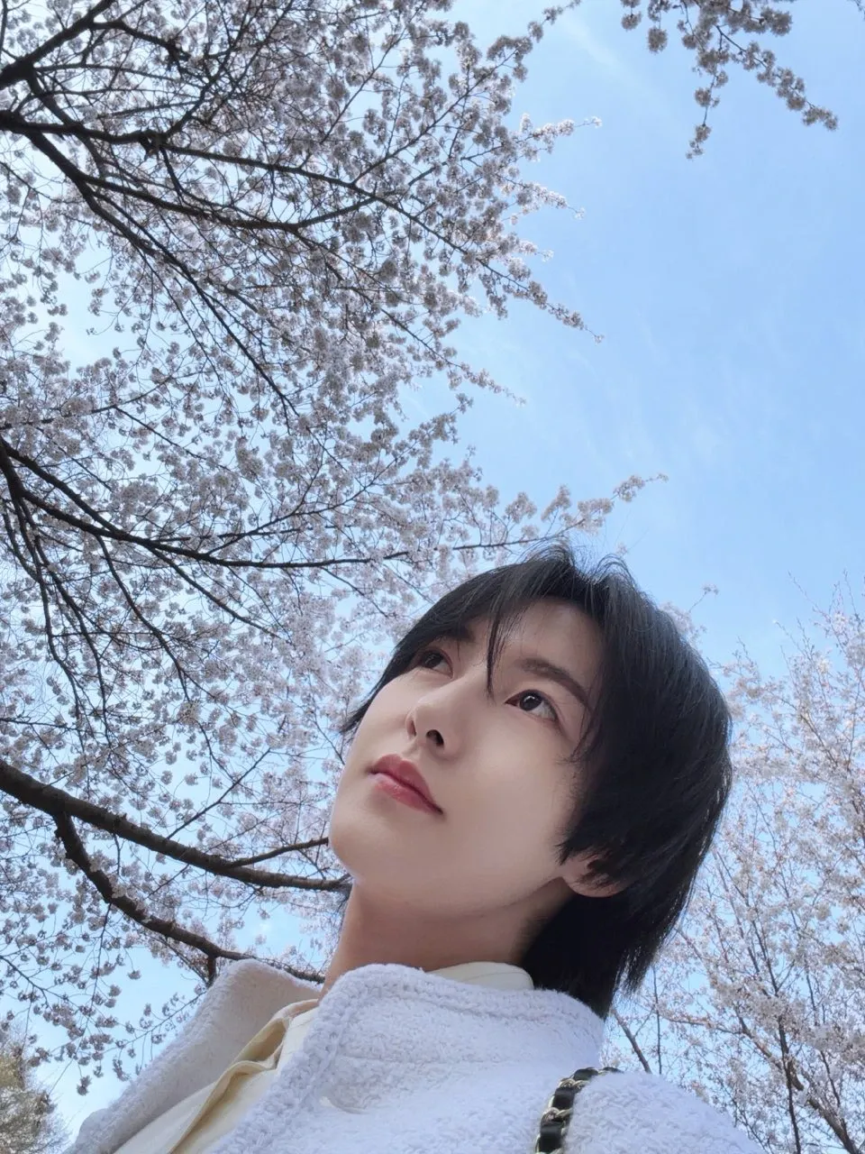 Recent activity shot of Renjun (NCT DREAM)