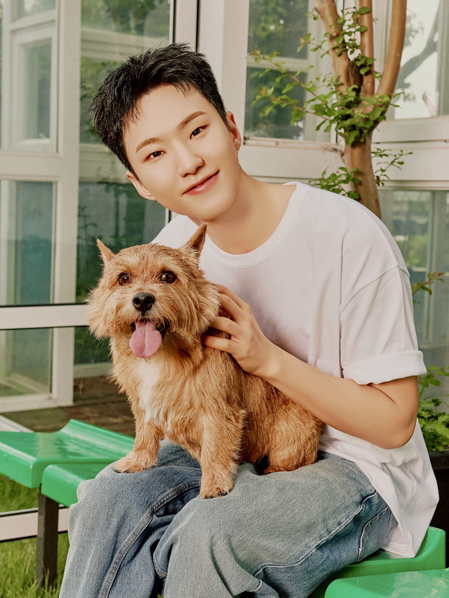 A moment captured by Hoshi (SEVENTEEN)'s fan