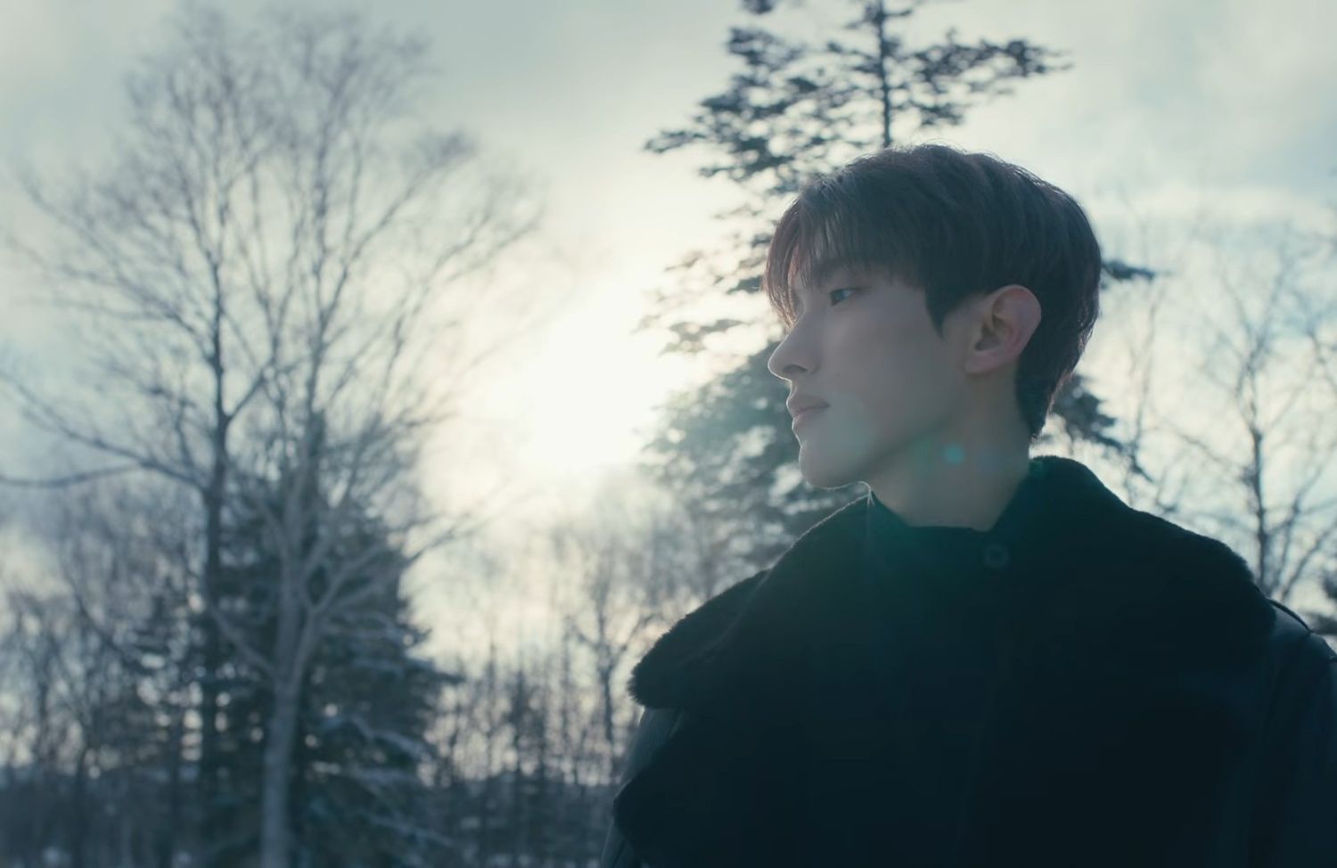 Recent activity shot of DK (SEVENTEEN)