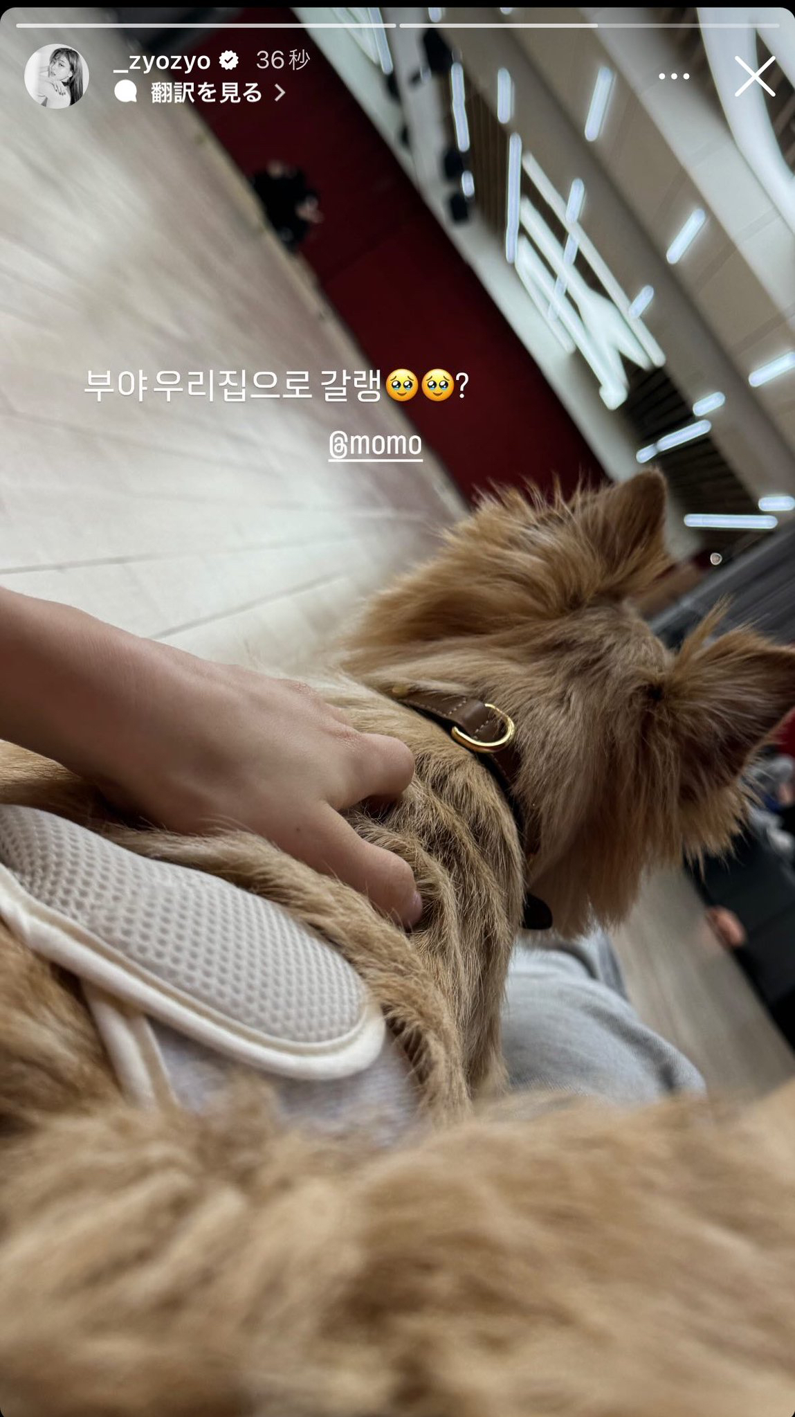 지효 (TWICE) 최근 활동샷