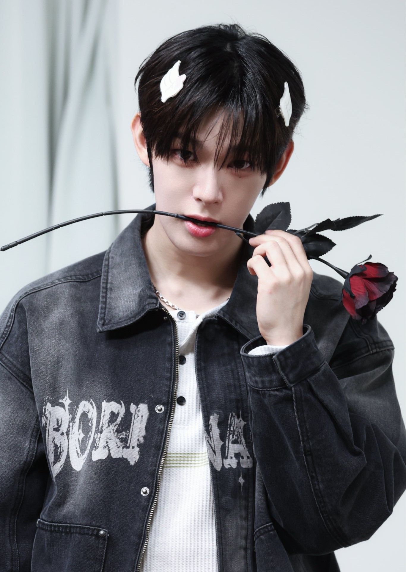 スティーブン (AHOF)の最新写真