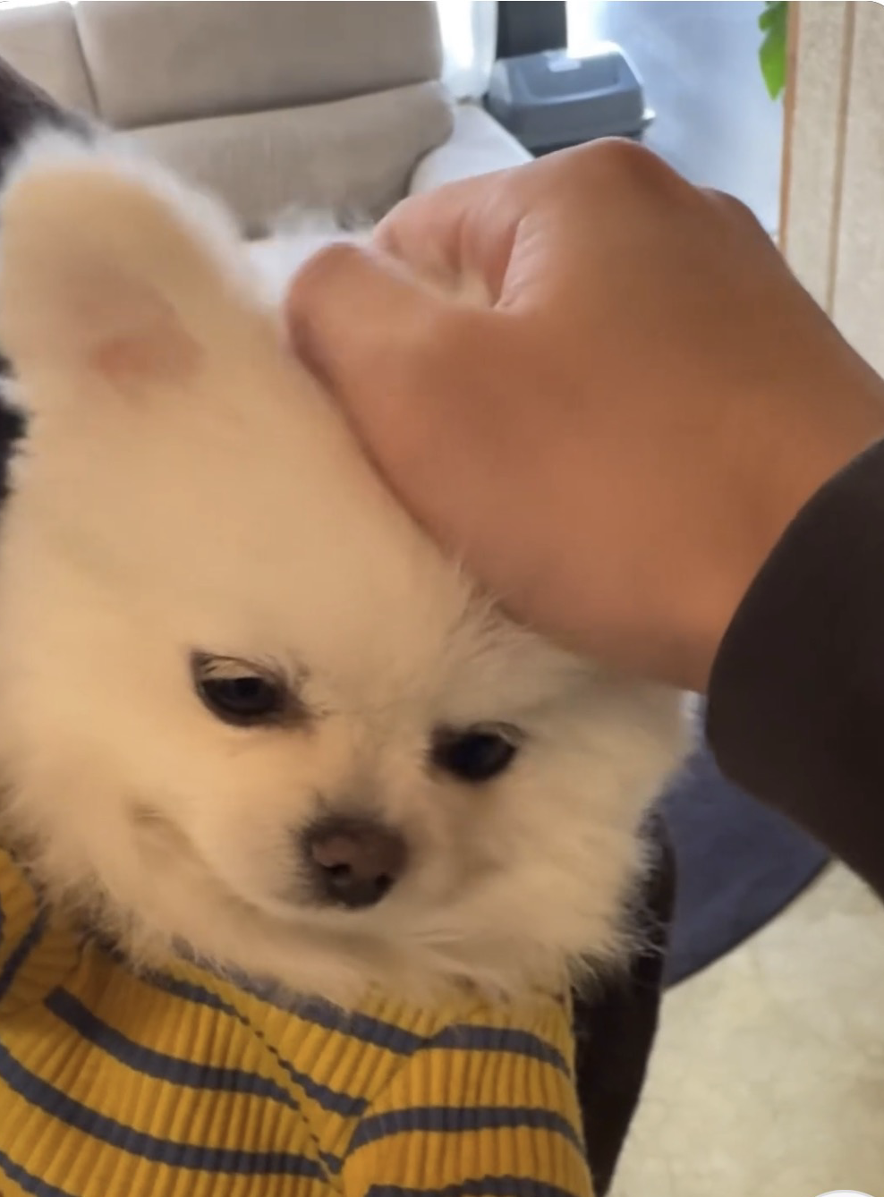 Recent activity shot of San (ATEEZ)