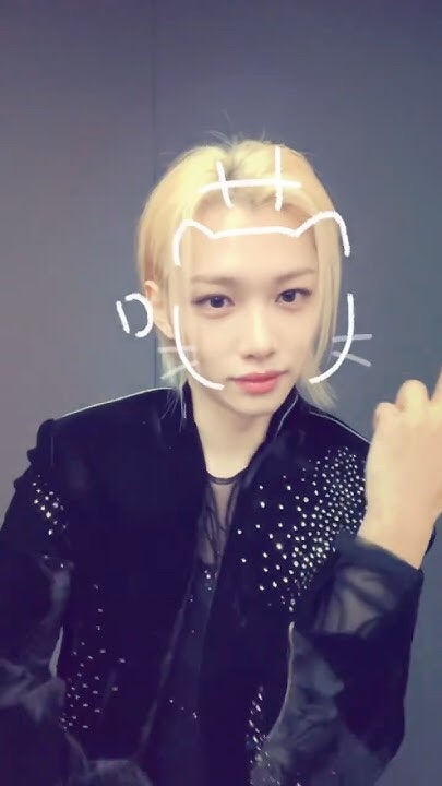 Stray Kids 팬이 찍은 순간