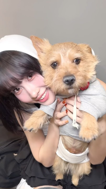 Fandom-recommended wallpaper image of Momo (TWICE)