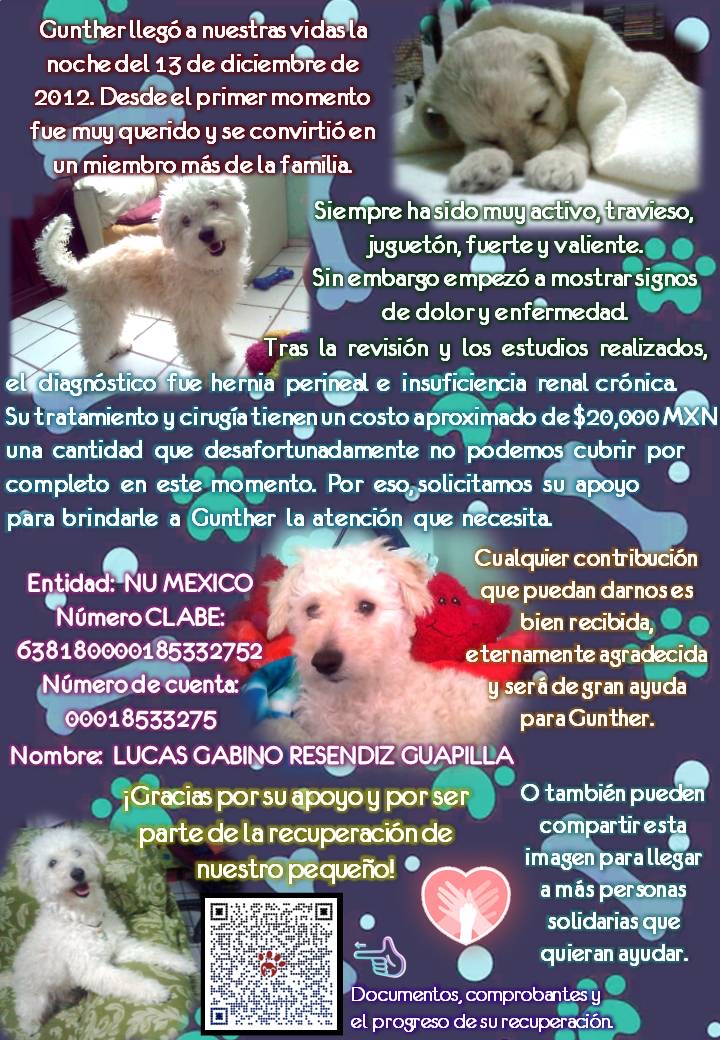 Stray Kids 팬이 찍은 순간