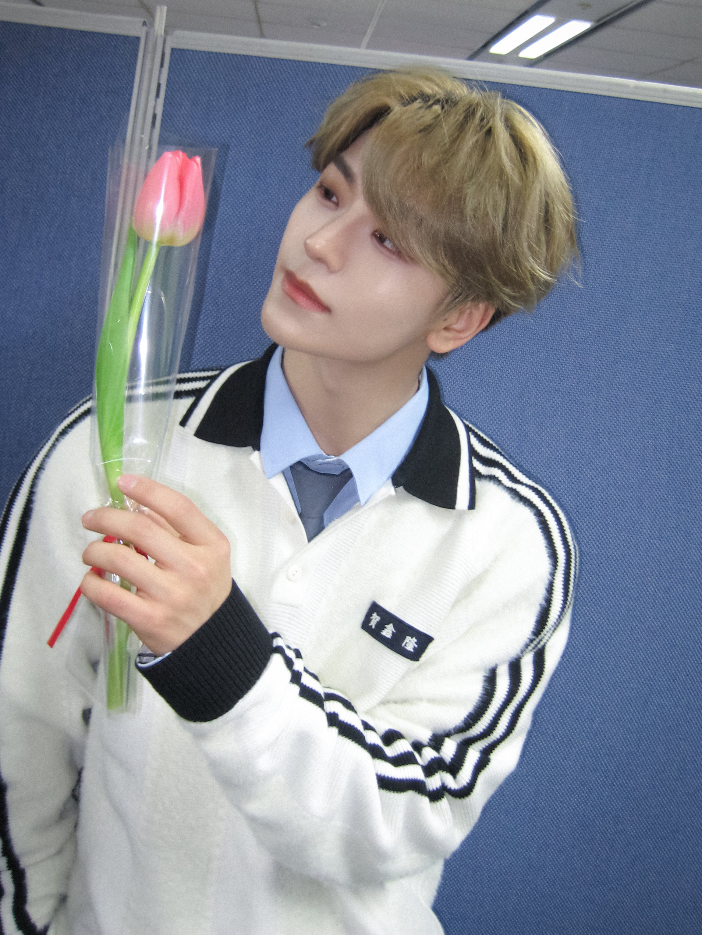 ファンに愛されるK-POPの人気投稿