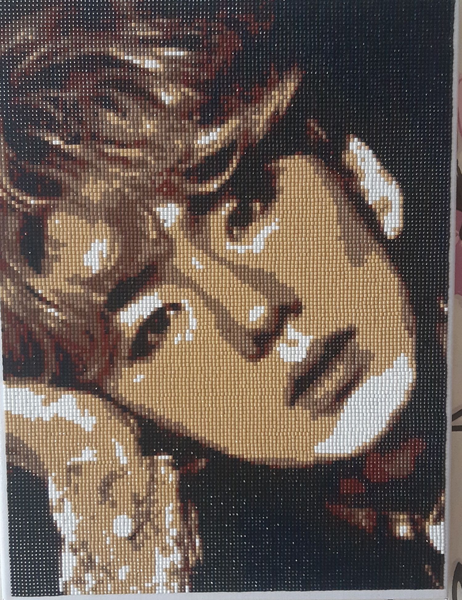 A moment captured by Kihyun (MONSTA X)'s fan