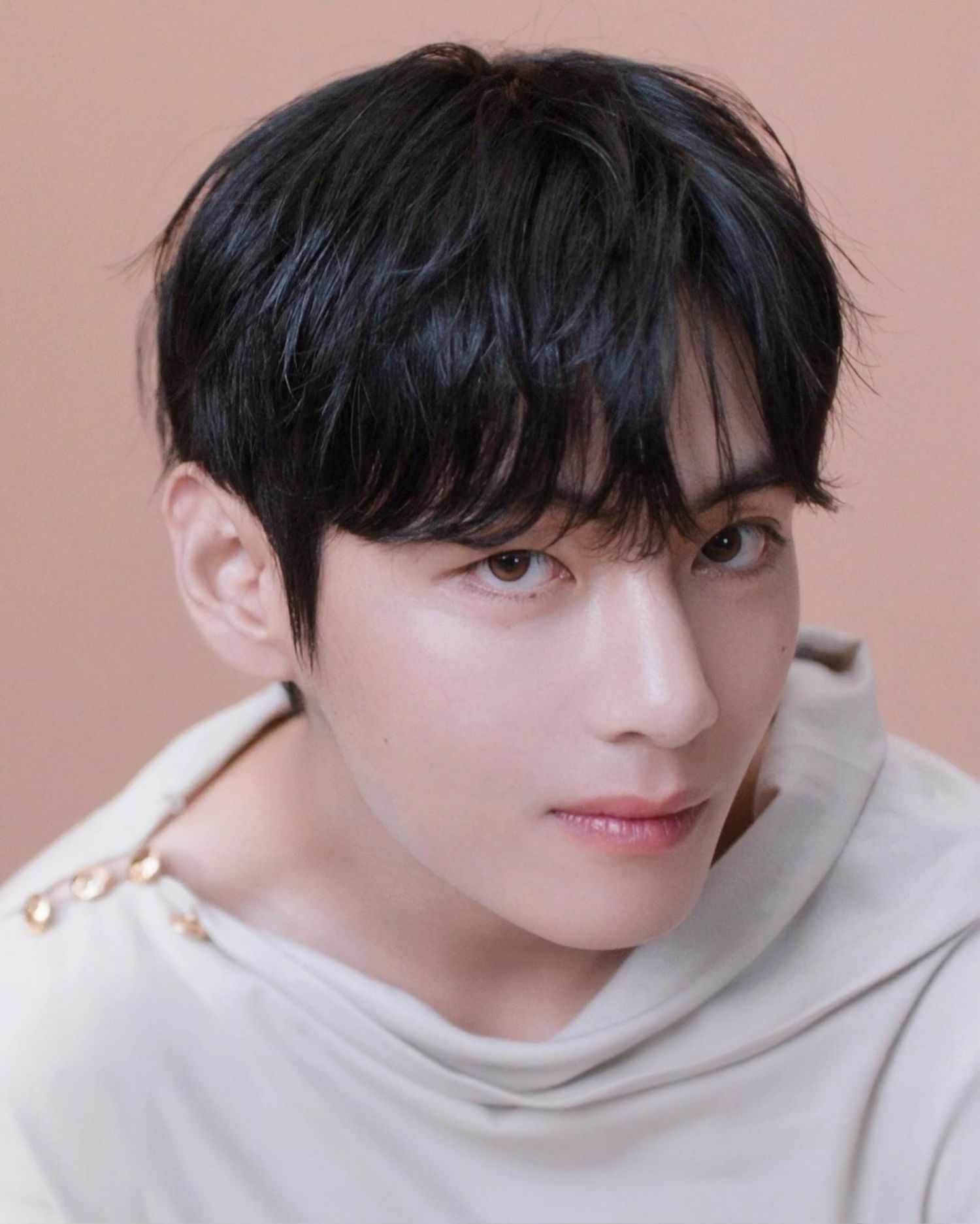 Behind-the-scenes cut of V (BTS)