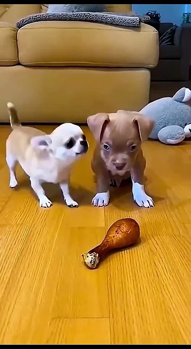 Recent activity shot of Eunwoo (ASTRO)