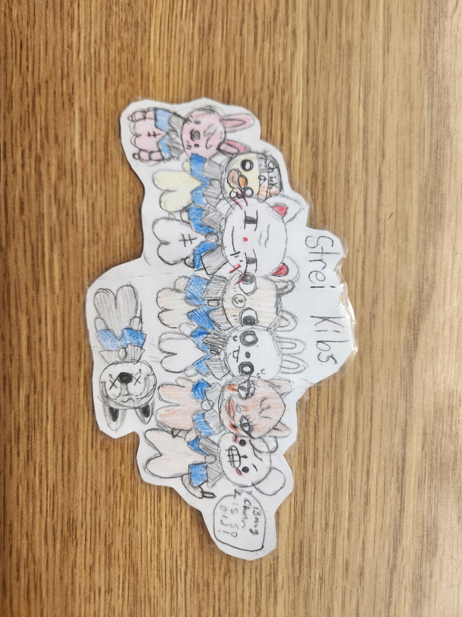 Stray Kids粉絲拍下的瞬間