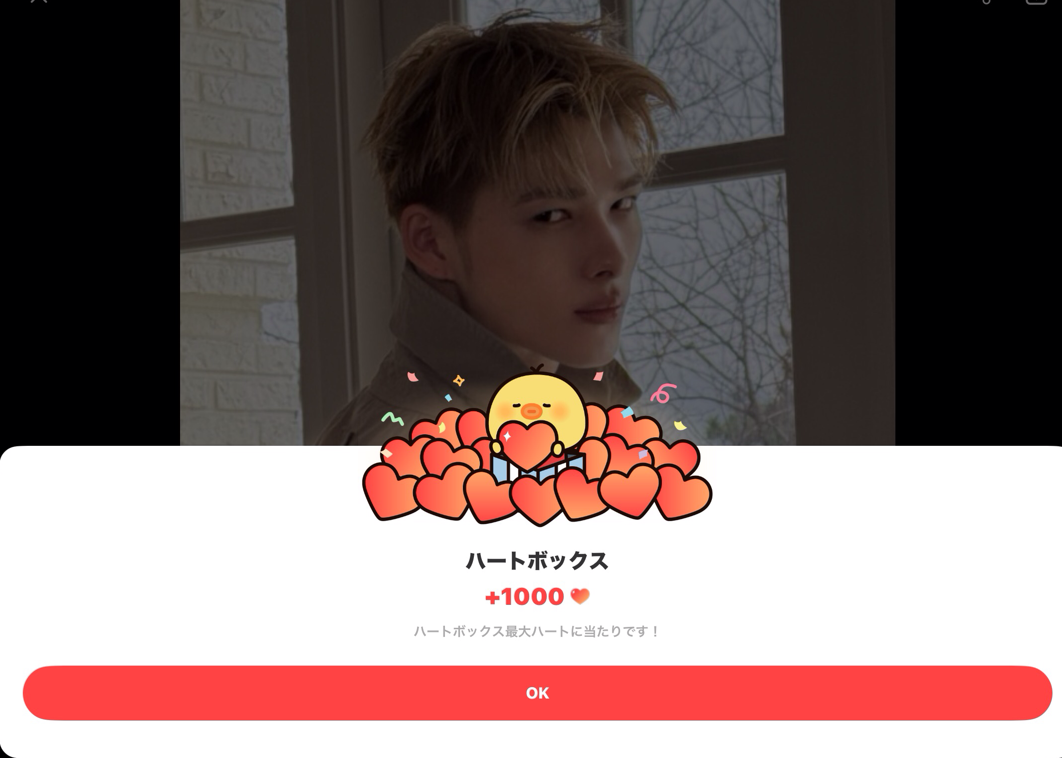 니키 (ENHYPEN)의 비하인드 컷