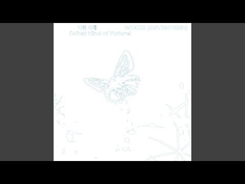 세븐틴 팬이 찍은 순간