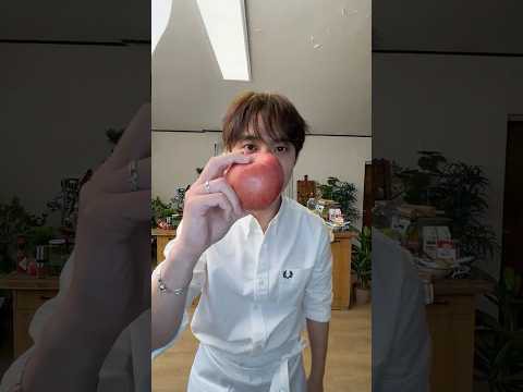 EXO 팬이 찍은 순간