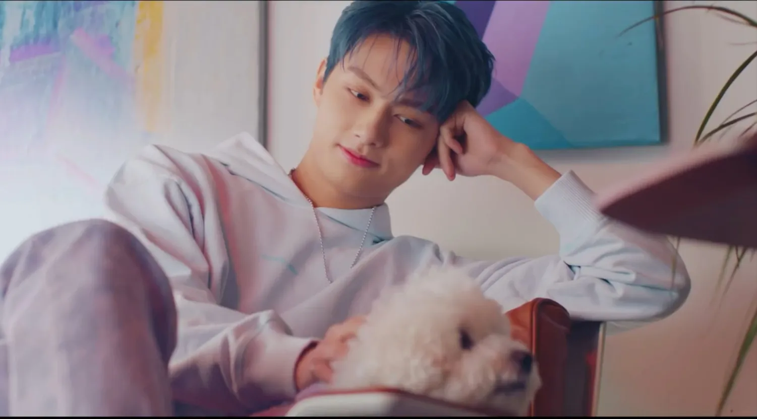 세븐틴의 비하인드 컷