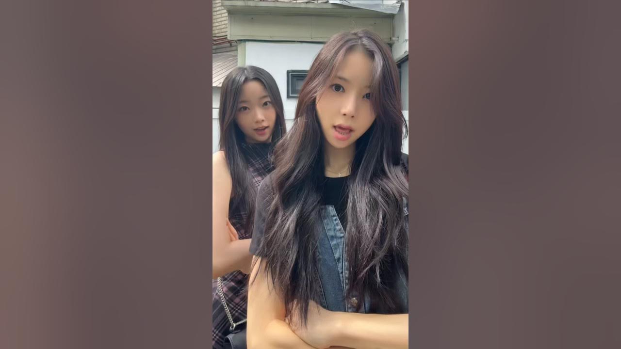 SECRET NUMBER 팬이 찍은 순간