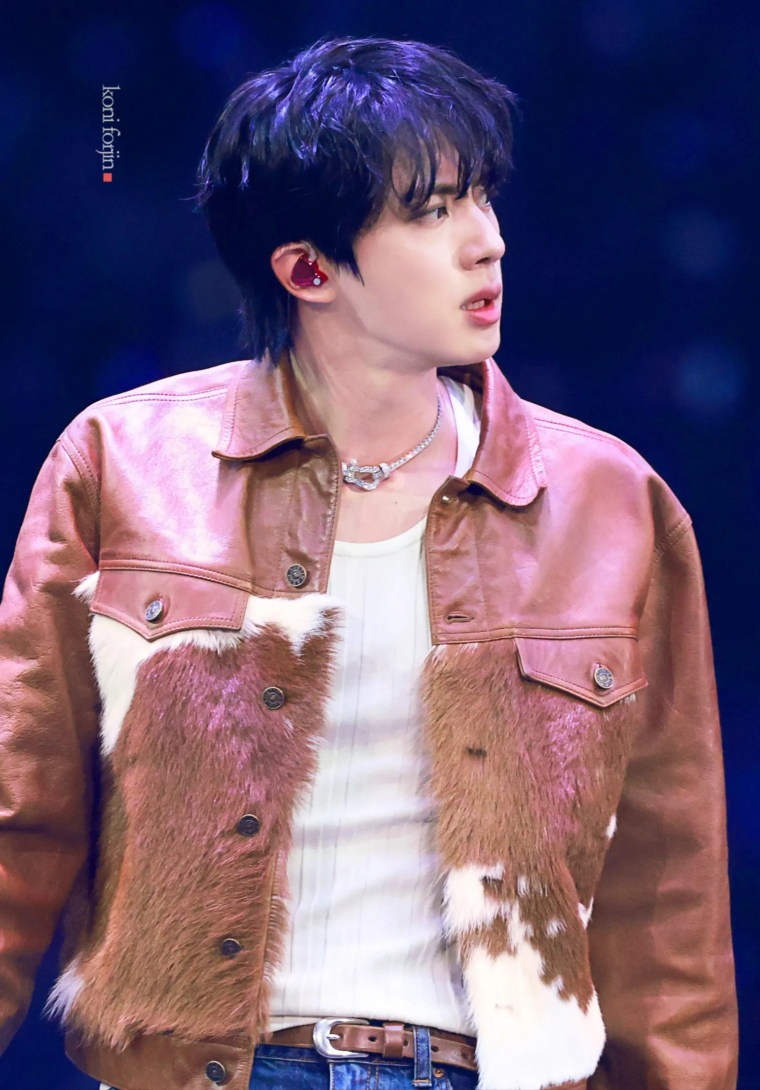 진 (방탄소년단) 팬이 찍은 순간