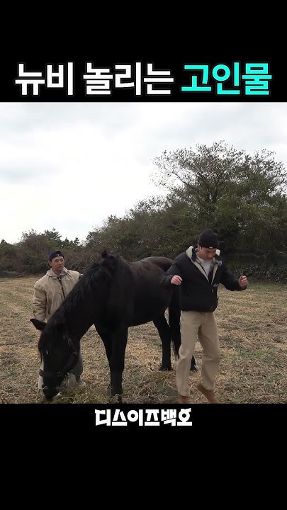 백호 최근 활동샷