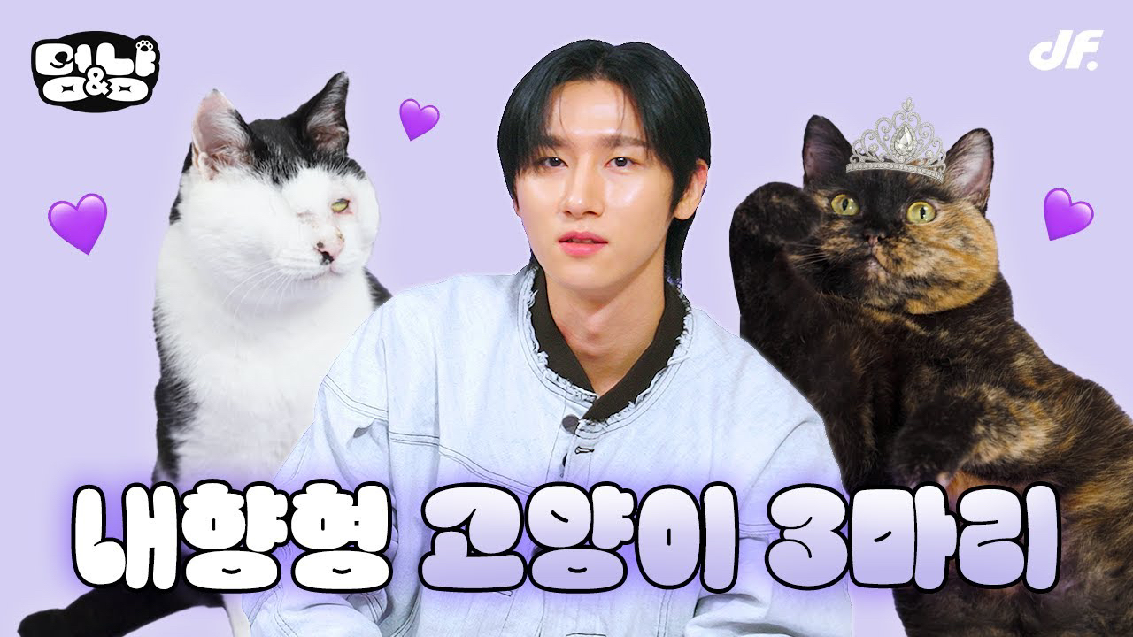 A moment captured by I.M (MONSTA X)'s fan