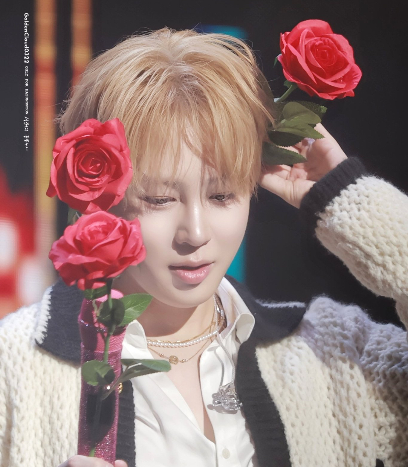 ハ・ソンウンファンが撮った瞬間