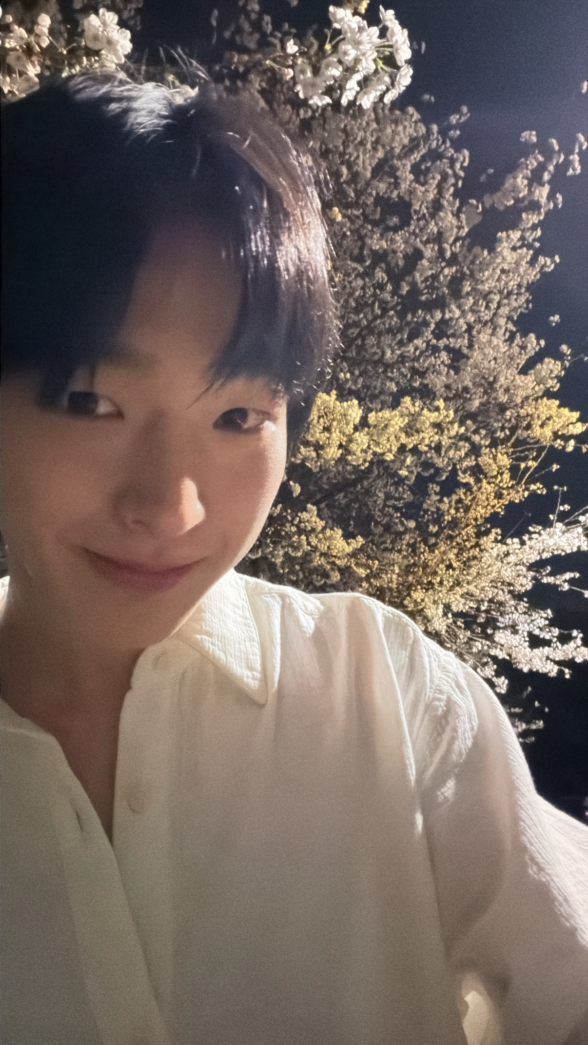 A heartfelt wallpaper shared by Tomoya (NEXZ)'s fans