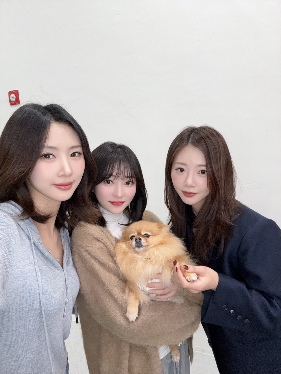 드림캐쳐의 최신 사진