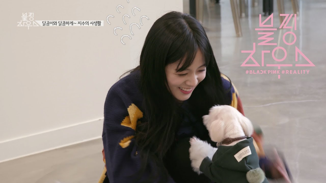 BLACKPINK 최근 활동샷