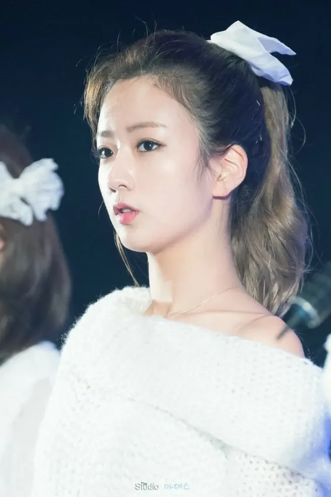 에이핑크 팬이 찍은 순간