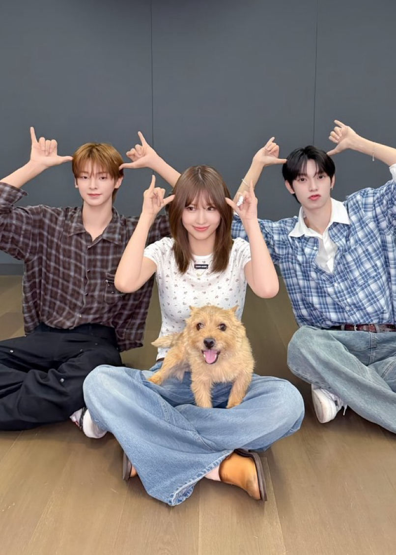 모모 (TWICE) 최근 활동샷