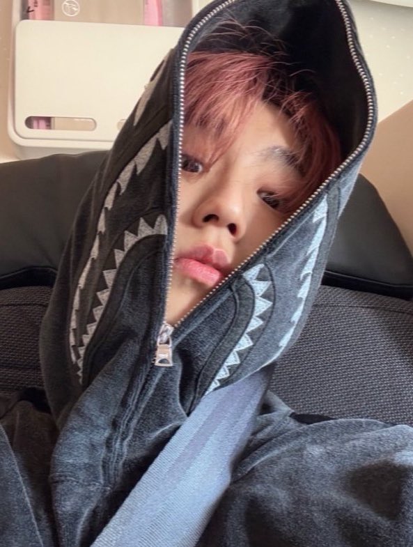 Behind-the-scenes cut of HAN (Stray Kids)