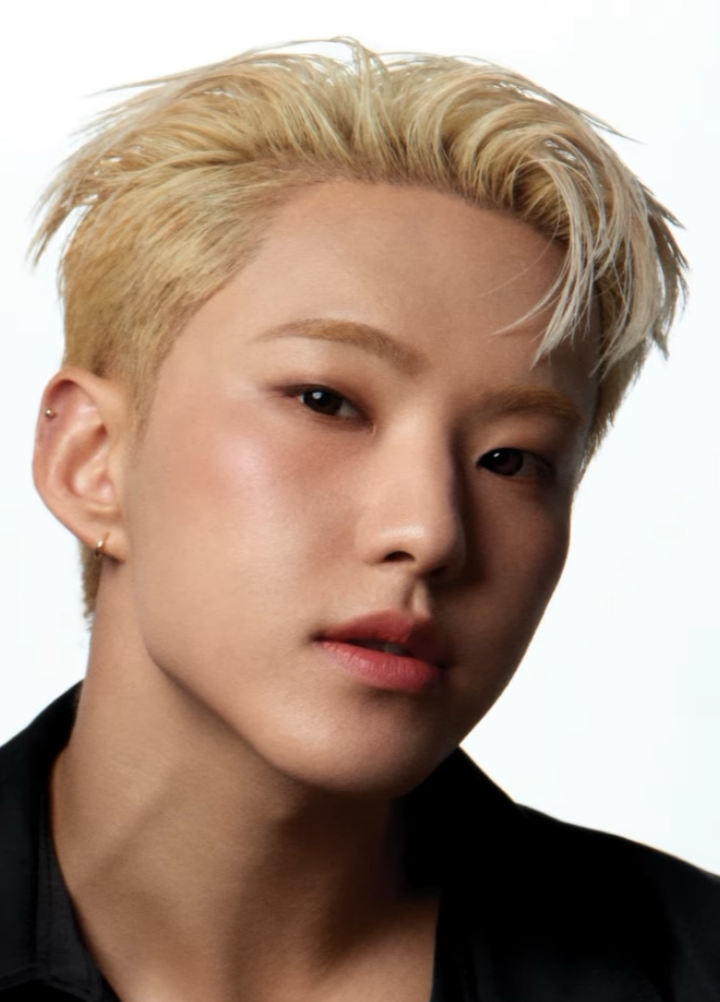 Potret di balik layar Hoshi (SEVENTEEN)
