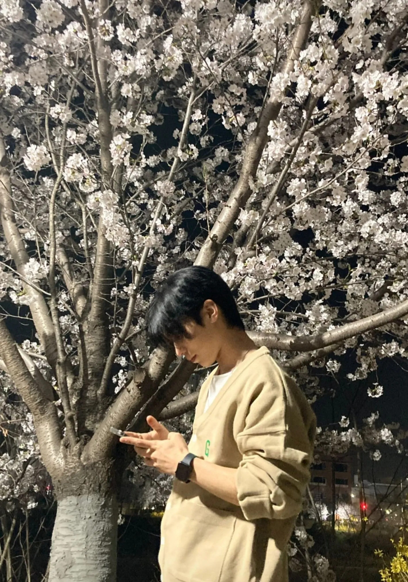 Recent activity shot of Rocky