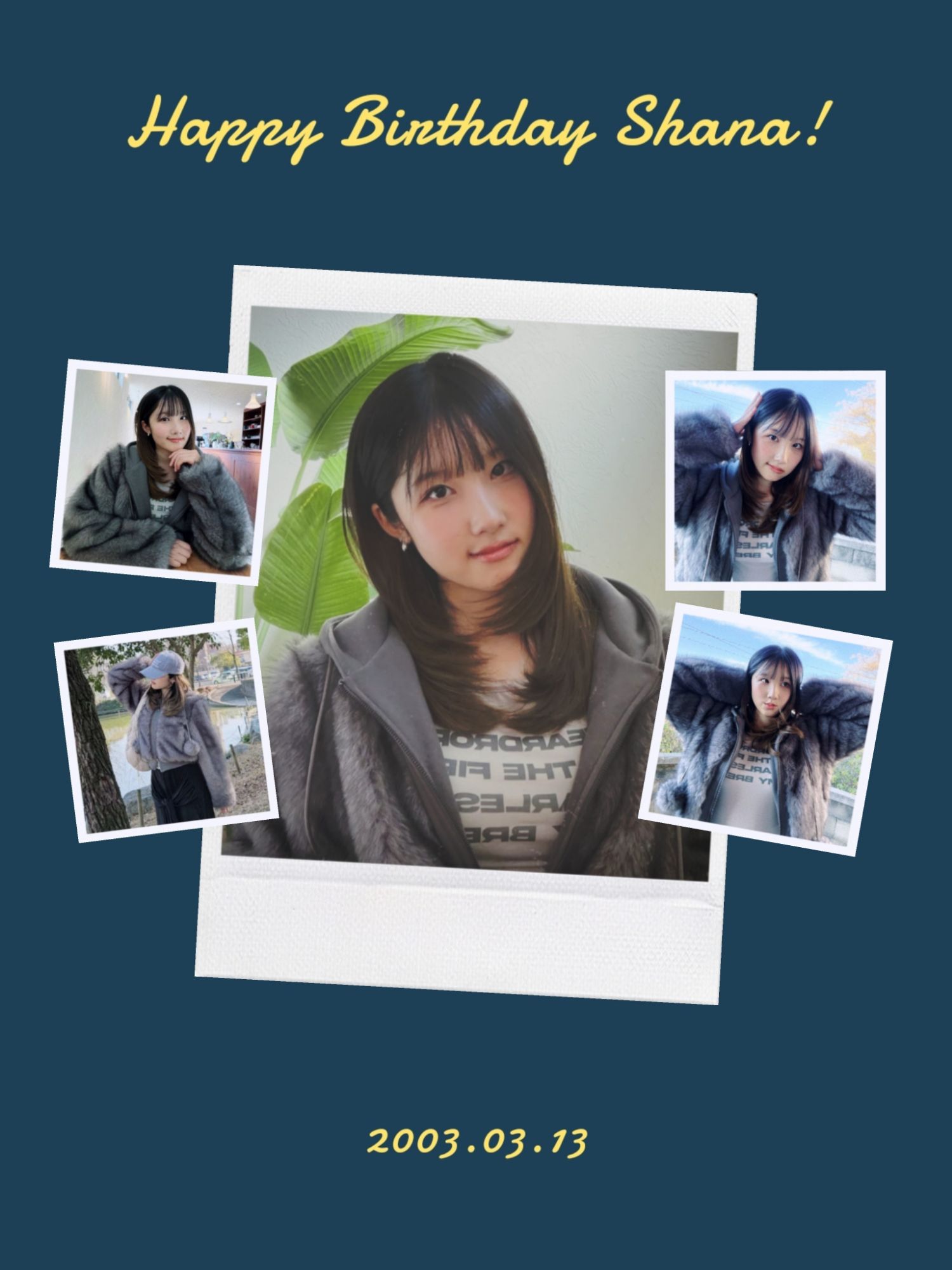 Latest photo of Lapillus