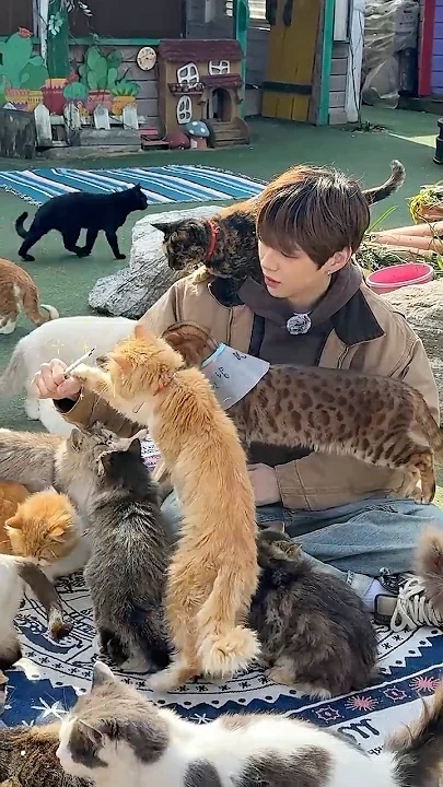 Fandom-recommended wallpaper image of Kang Daniel