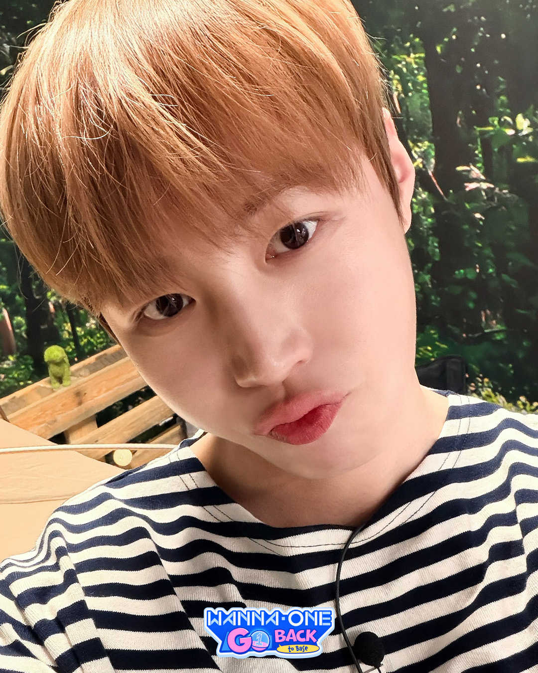 하성운 팬이 찍은 순간