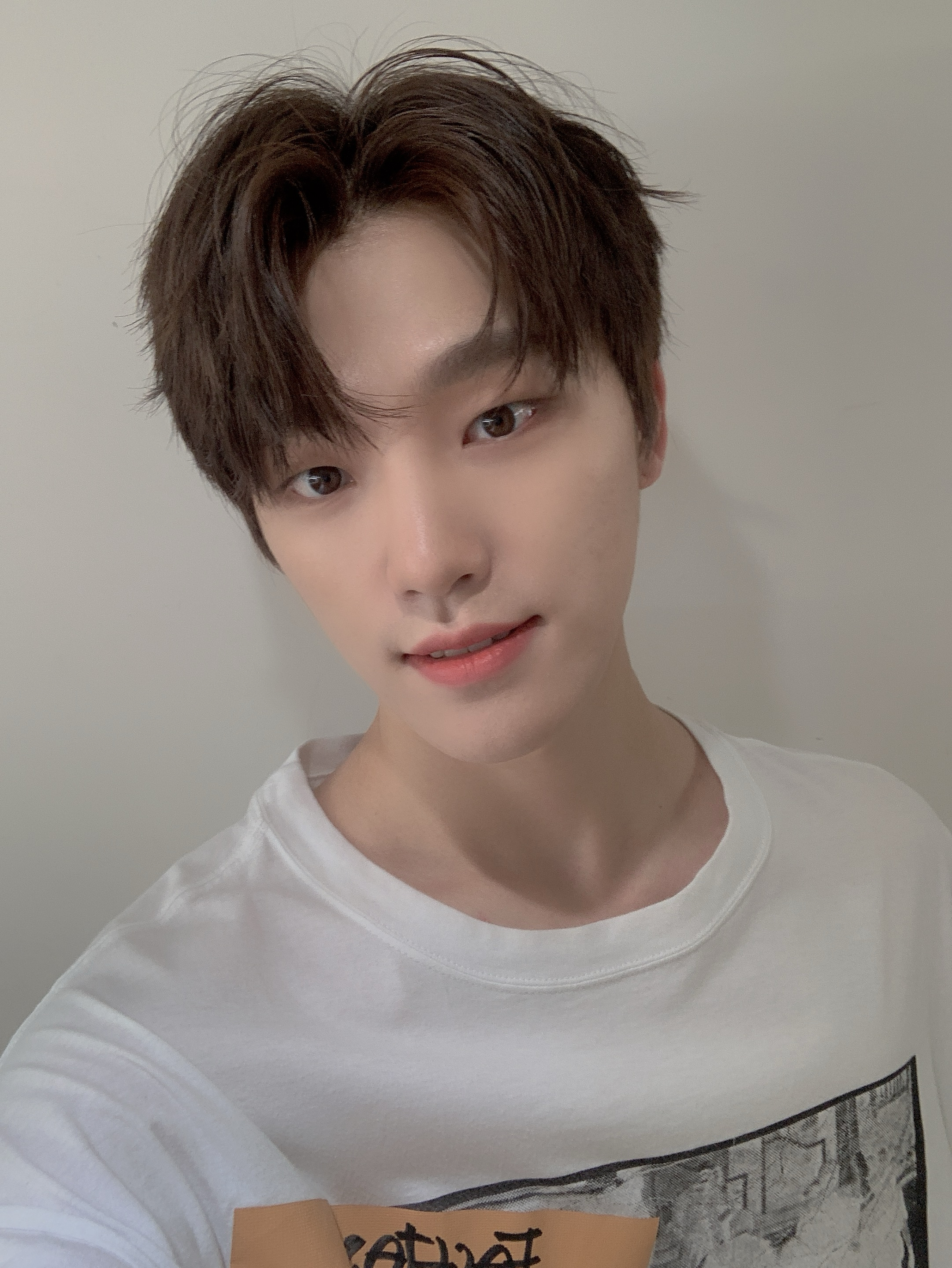 디노 (세븐틴) 팬이 찍은 순간