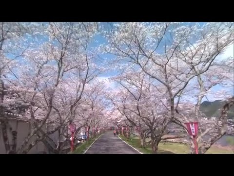 Latest photo of Mamehara Issei (JO1)