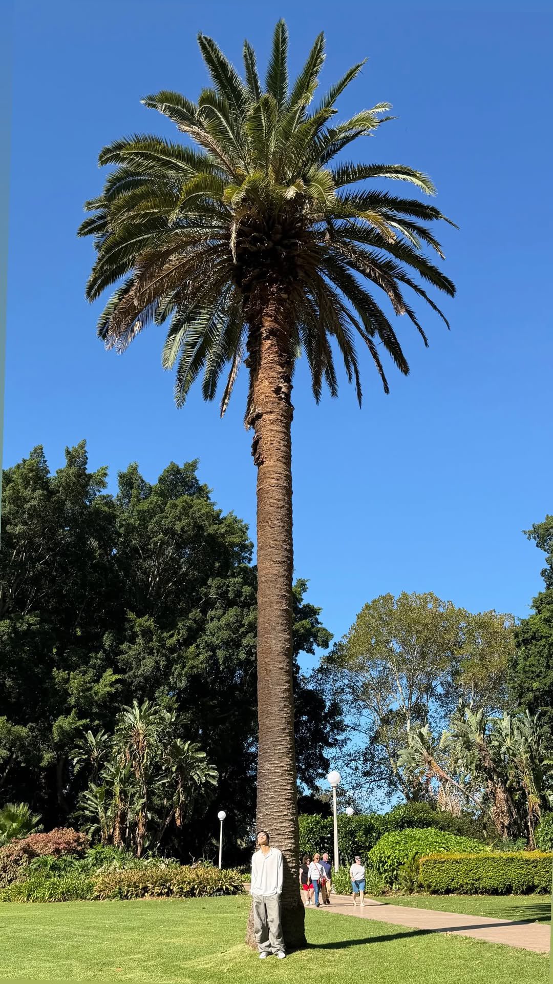 Fandom-recommended wallpaper image of Seonghwa (ATEEZ)