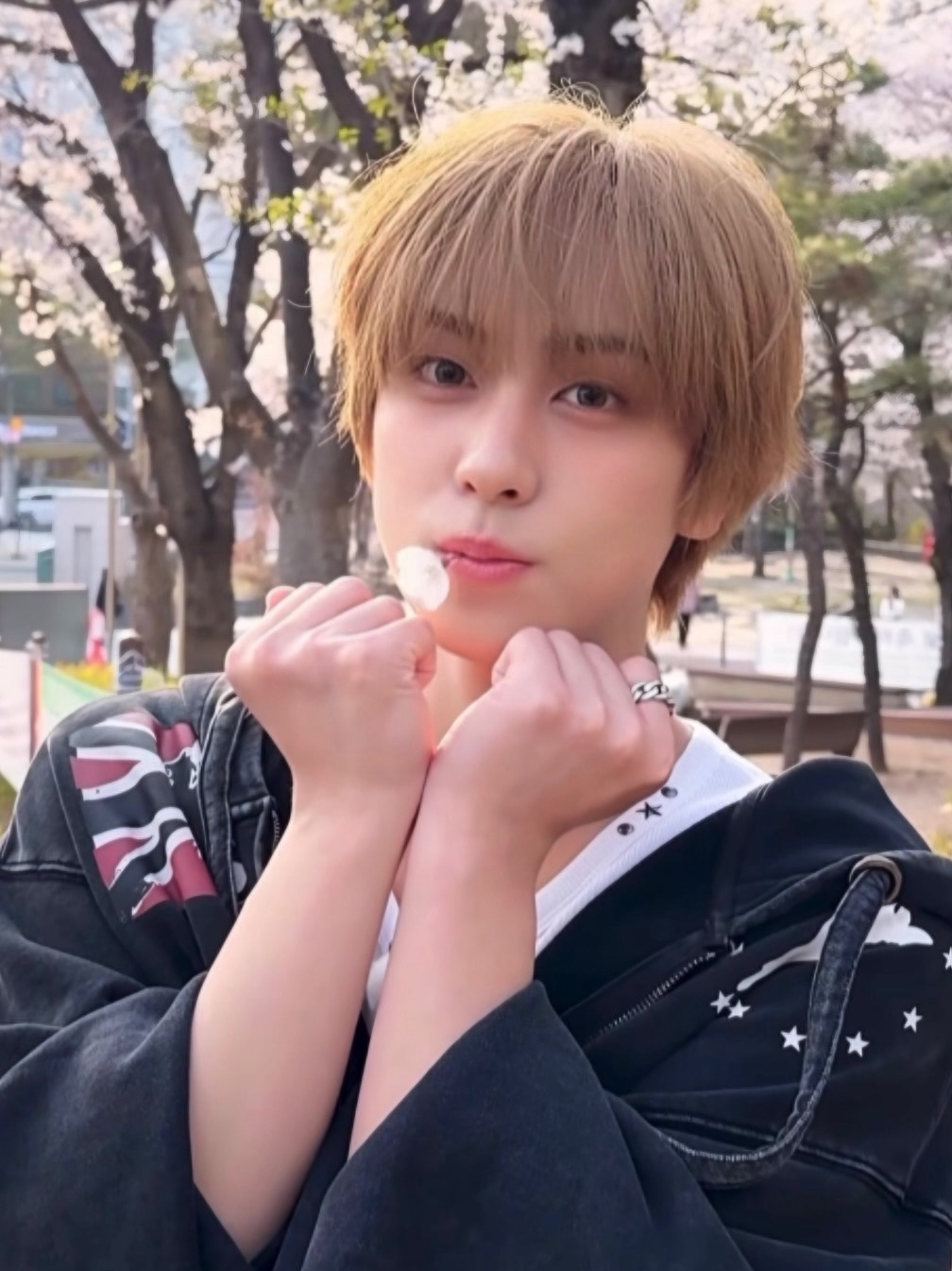 Taki (&TEAM)的最新照片