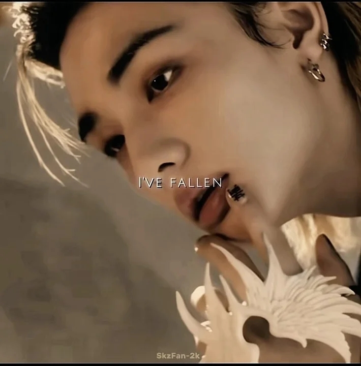 A moment captured by Hyunjin (Stray Kids)'s fan