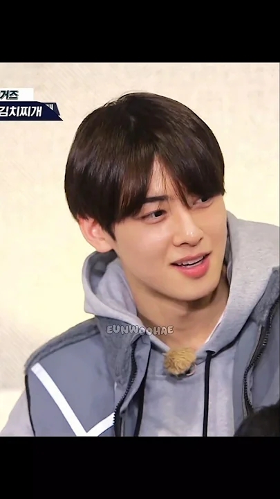 粉絲推薦的車銀優 (ASTRO)桌布圖片