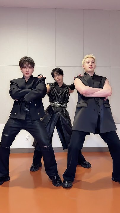 Recent activity shot of Stray Kids