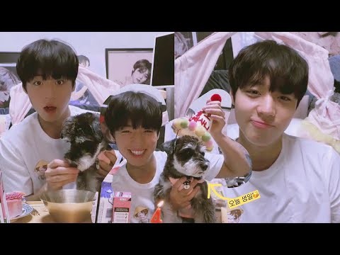 박지훈 팬이 찍은 순간