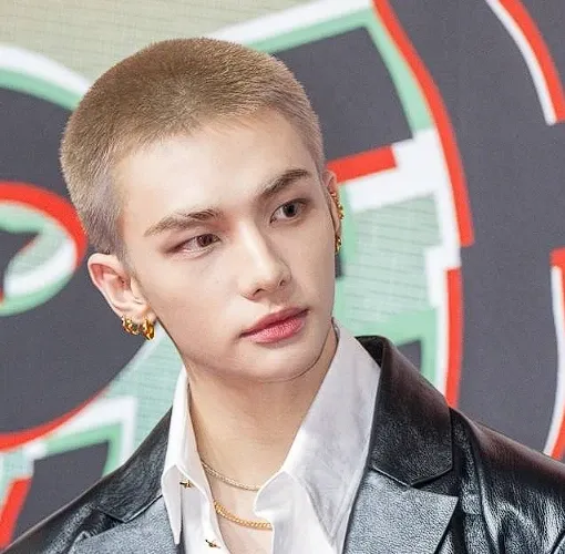 Latest photo of Hyunjin (Stray Kids)