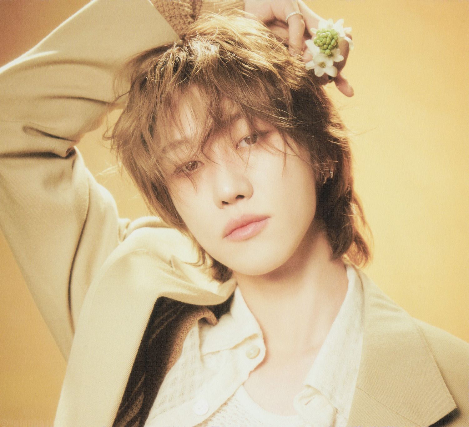 Latest photo of The 8 (SEVENTEEN)