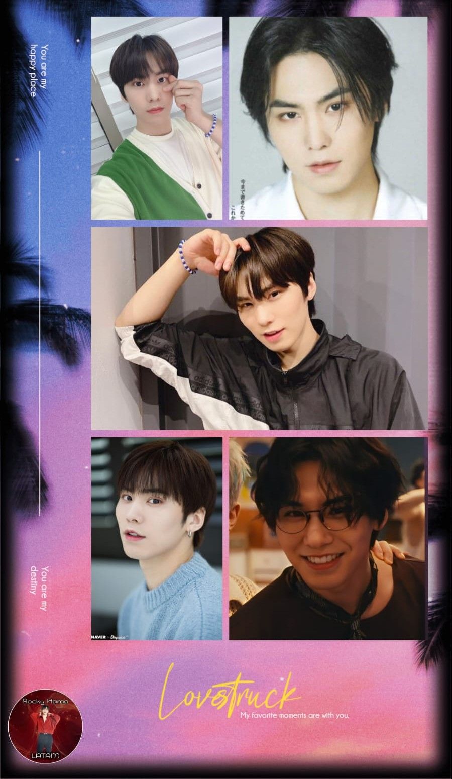 Recent activity shot of Rocky