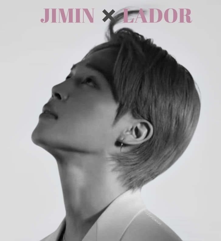 지민 (방탄소년단) 팬이 찍은 순간