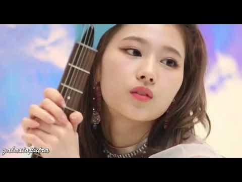 TWICE 팬이 찍은 순간