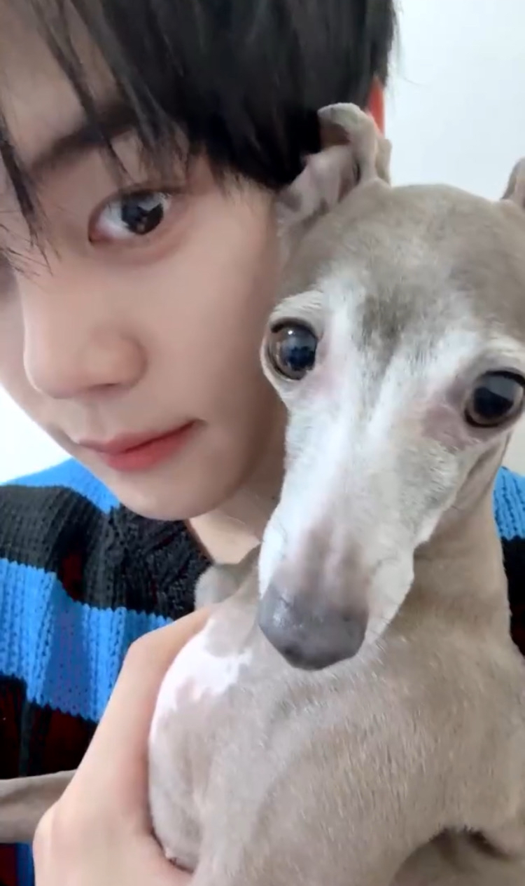 The most beloved wallpaper among Kim Gyuvin (AND2BLE)'s fans