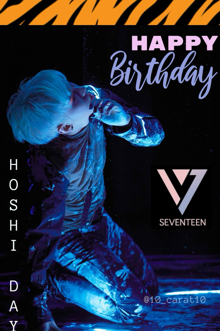ホシ (SEVENTEEN)ファンが撮った瞬間